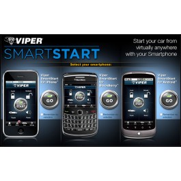 DSM250i - Viper Smart Start
