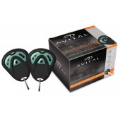 Avital 3100