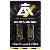ESXFUSE100